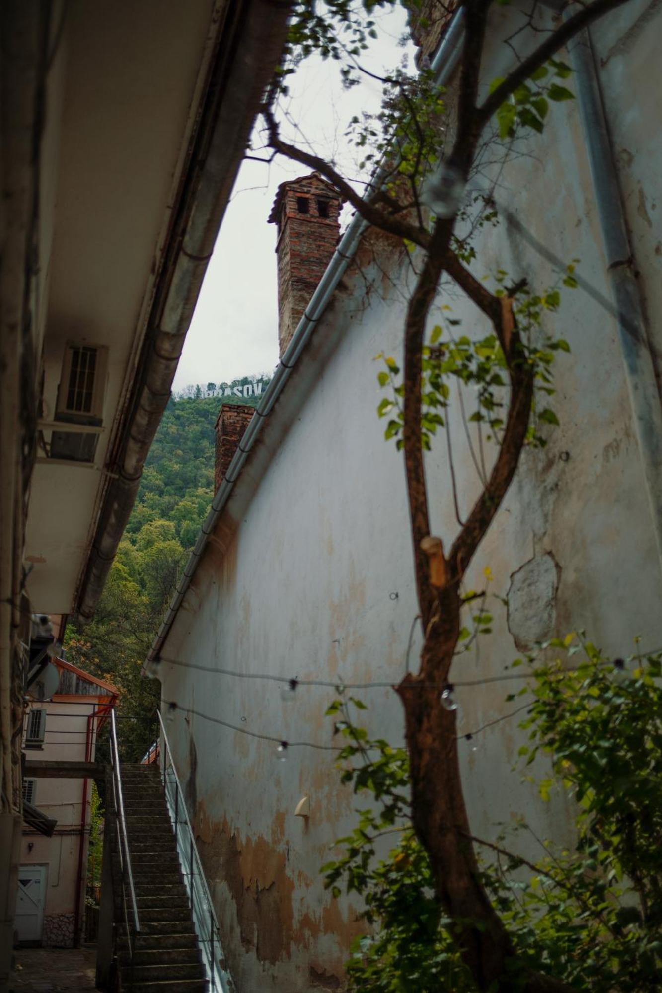 3 Min To Everything-Stylish-Modern-Old Fortress 布拉索夫 外观 照片
